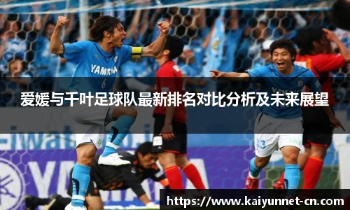 开云app